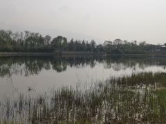 -华山御温泉度假村