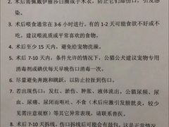 -灵美宠物诊所