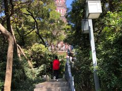 -顺峰山公园