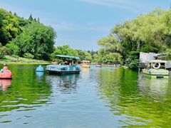 -上海共青森林公园