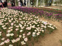 -石家庄市植物园