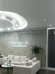 -上海首尔丽格医疗美容医院