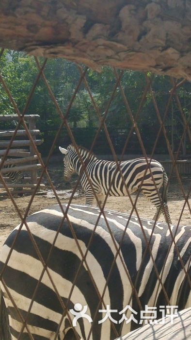 天津動物園圖片 - 第8張