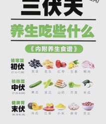 -雅曼妮spa美容养生