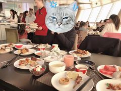 -339旋转餐厅(天府熊猫塔店)