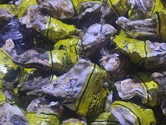 -聚盛源蒸汽海鲜火锅烤肉自助(巨川金海岸购物广场店)