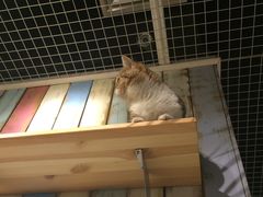 -小时光咖啡馆(开森度假森林店)