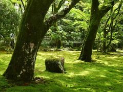 -西芳寺(苔寺)