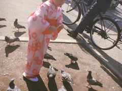 -东京浅草和服体验江户和装工房雅(浅草本店)