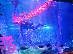 -沈阳海洋探索中心