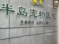 -半岛宠物医院24小时(西派城店)