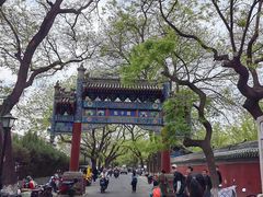 -北京国子监胡同