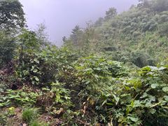 -九华山风景区月身宝殿