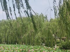 -南翠屏公园