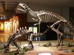 -自贡恐龙博物馆