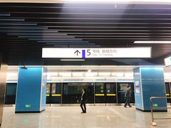 -大龙山(地铁站)