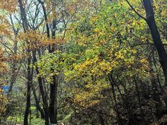 -玉渡山自然风景区