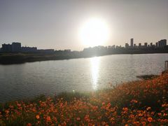 -洋湖国家湿地公园