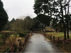 -贵阳市花溪国家城市湿地公园