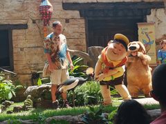 -奥兰多迪士尼动物王国乐园