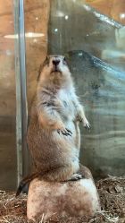 -Zoolung Zoolung动物主题公园(海信广场店)