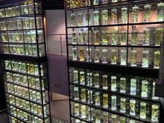 -广东中医药博物馆