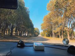 -胜华驾校·小猫学车(银都店)