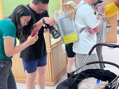 -帕帕拉兹宠物(亚洲旗舰店)