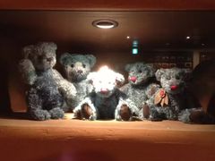 -济州岛泰迪熊博物馆