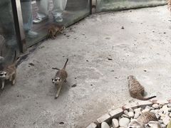 -呀路古热带植物园