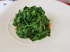 -荷风细雨·中国茶宴(碧云店)