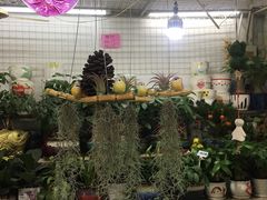 -无锡文化工艺品市场(槐古路店)
