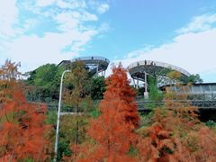 -梅峰山地公园