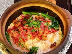 -顺德公·广东猪肚鸡(车公庙总店)