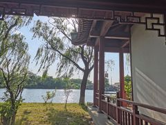 -百脉泉景区