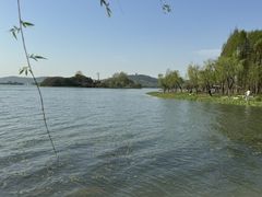 -渤公岛生态公园