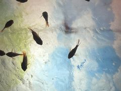-欢乐海岸海洋奇梦馆