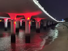 -演武大桥观景平台