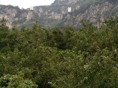 景点-九皇山景区