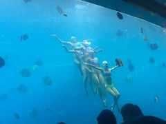 -瑞德姆美人鱼海底演艺主题餐厅(亚龙湾店)