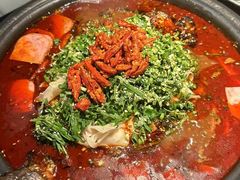 -探鱼·鲜青椒爽麻烤鱼(广州花都来又来店)