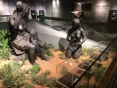 -北京周口店北京人遗址博物馆