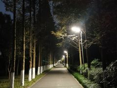 -昆山城市生态森林公园