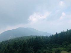 -白草畔自然风景区