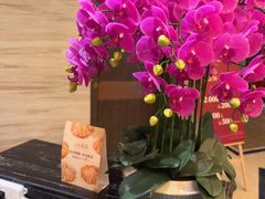 -上海小南国(国发店)