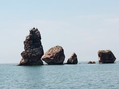 -碣石国家级海洋公园