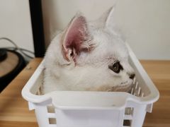 -宠颐生中康贝怡动物医院