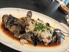 青花椒油泼老虎斑-开海·红岛海鲜虾水饺(石老人店)