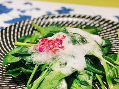 孜然菠菜-桂满陇天书(南京德基旗舰店)