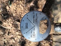 -西湖风景区十里琅珰-五云山